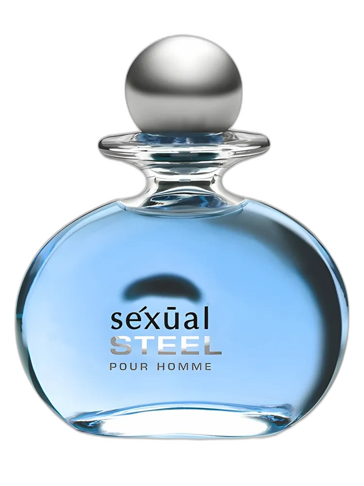 Sexual Steel Pour Homme — Michel Germain