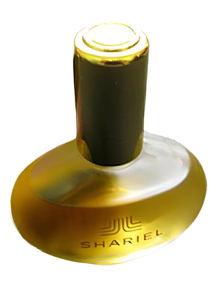 Shariel thumbnail 4