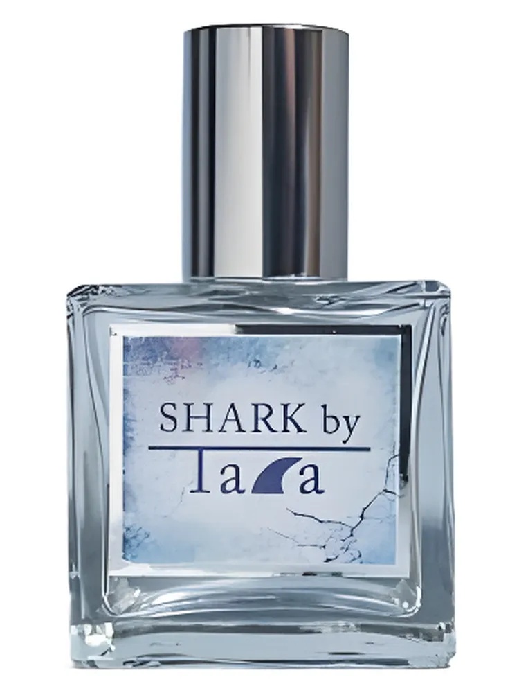 Shark by Tara thumbnail 4