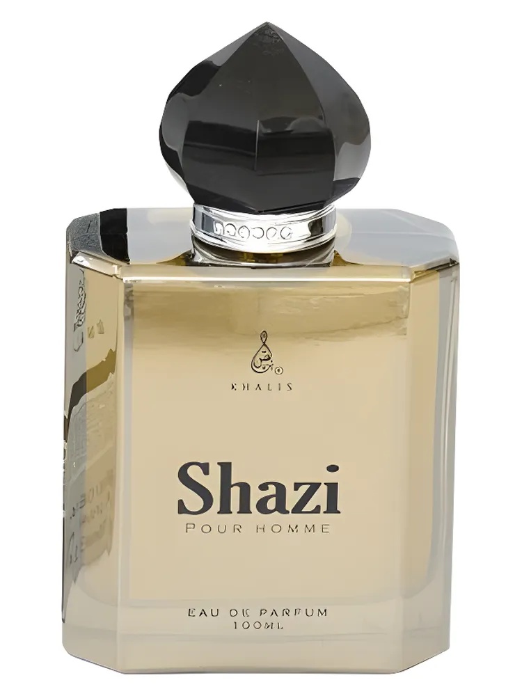 Shazi thumbnail 4