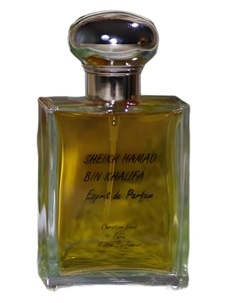 Sheikh Hamad Bin Khalifa thumbnail 4