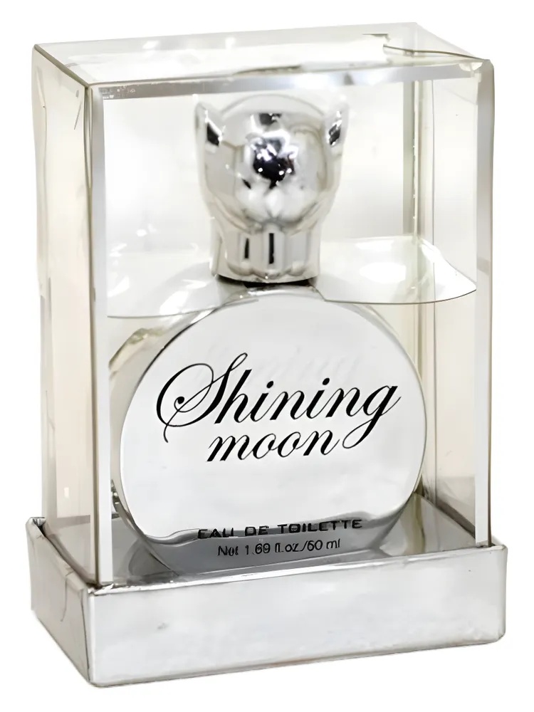 Shining Moon thumbnail 4