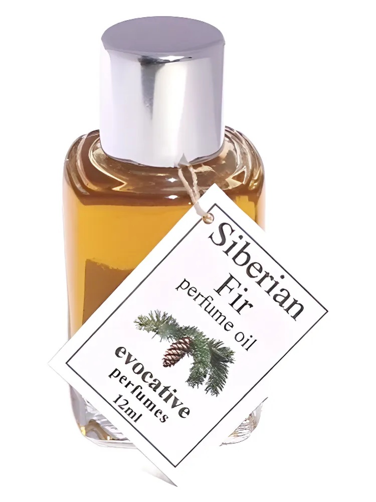 Siberian Fir thumbnail 4