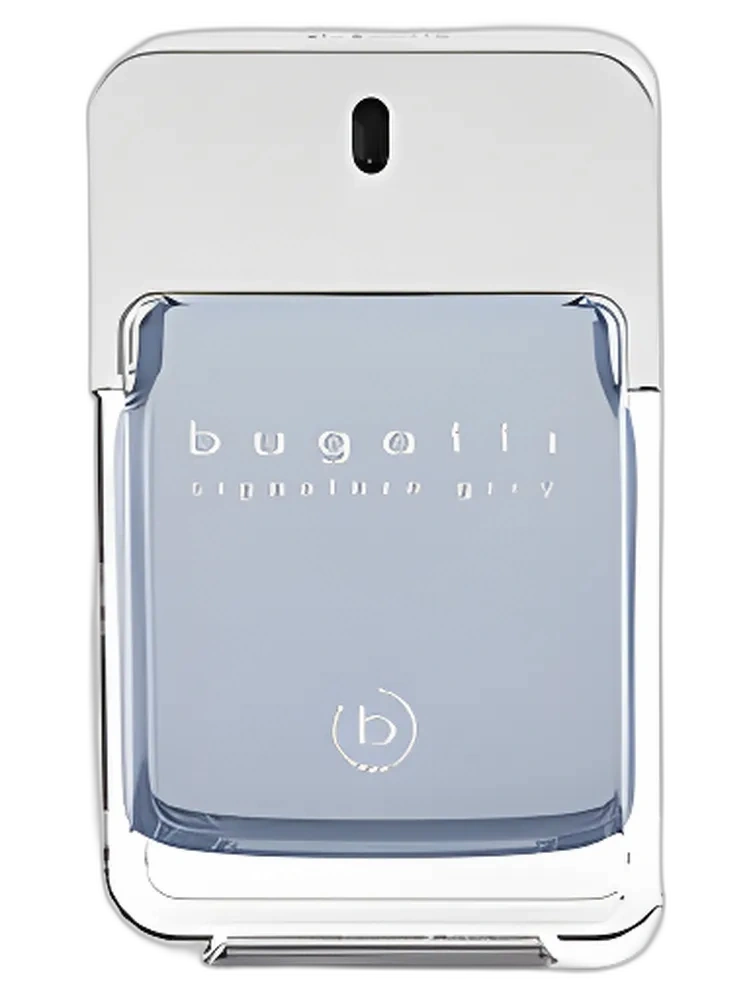 Signature Grey — Bugatti Fashion