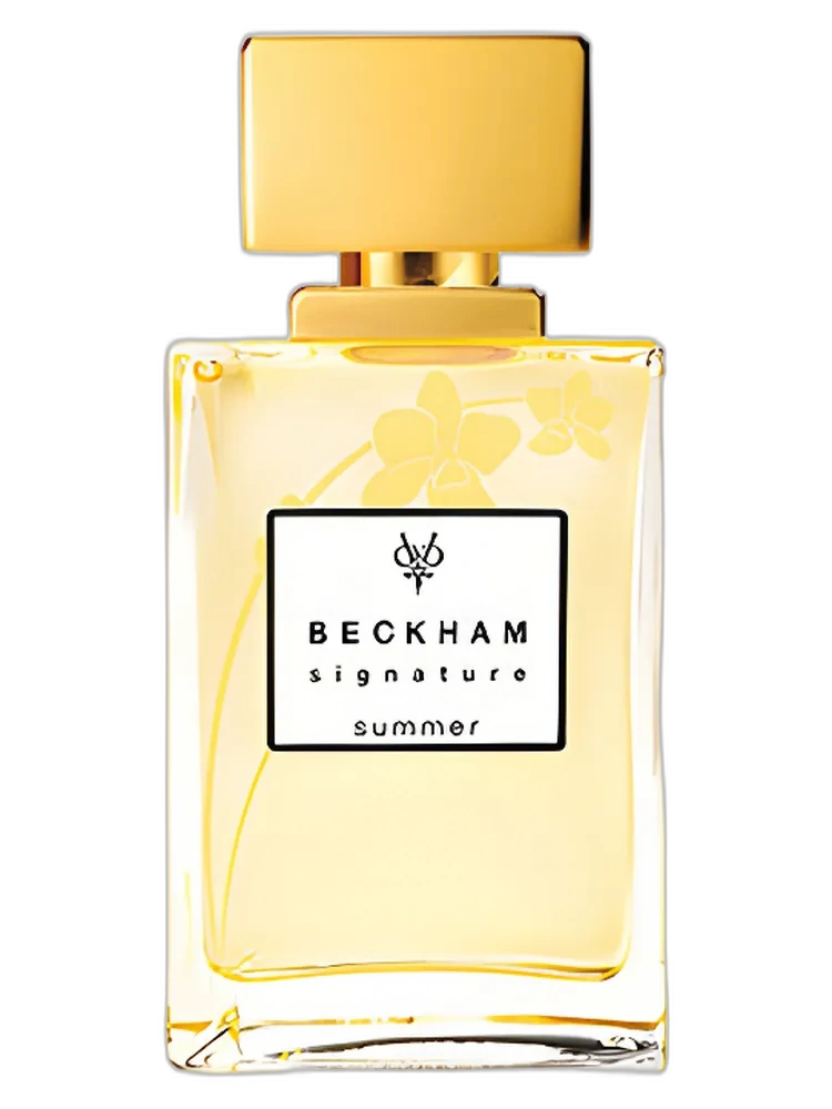 Signature Summer — David Beckham
