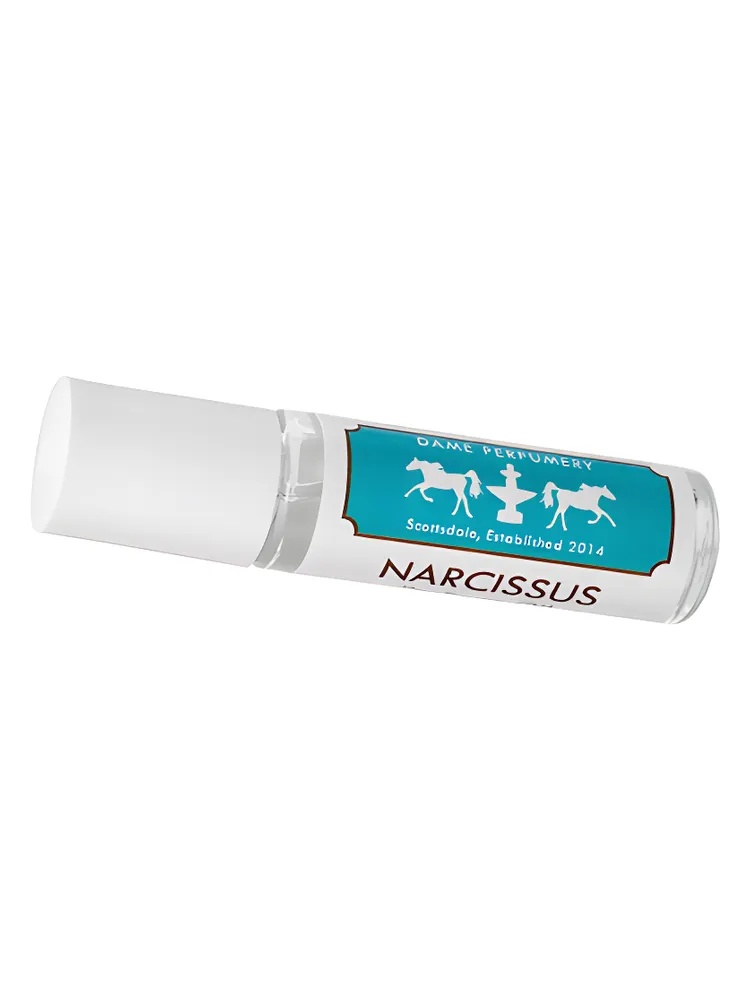 Soliflore Narcissus thumbnail 4