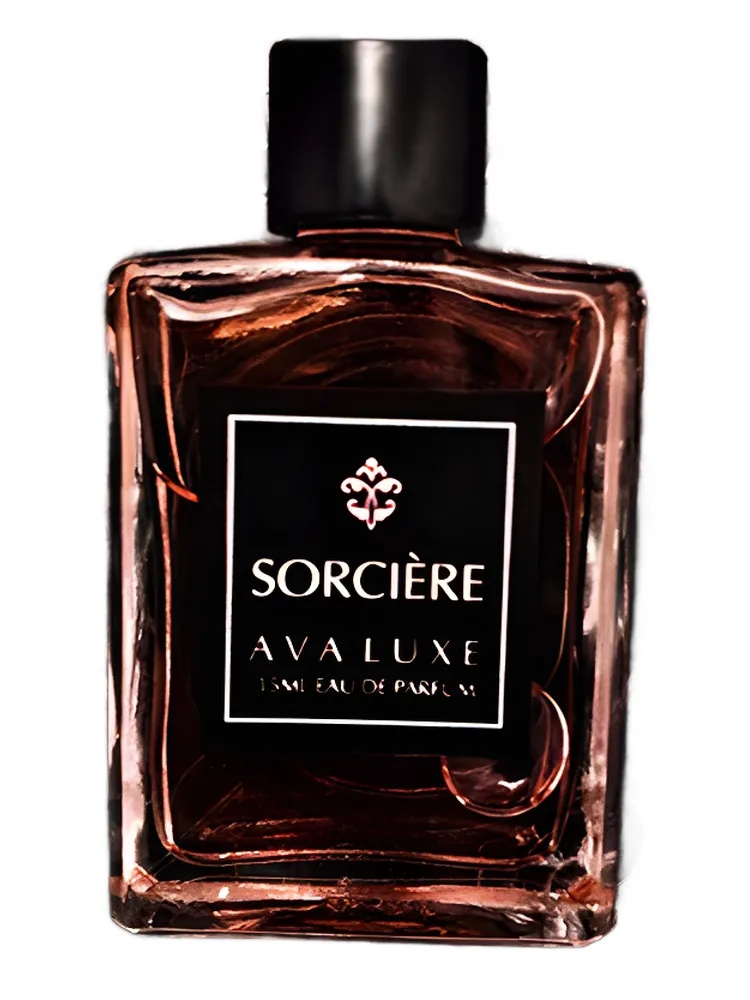 Miniatura 4 de Sorciere