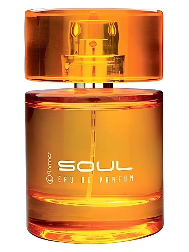 Miniatura 4 de Soul