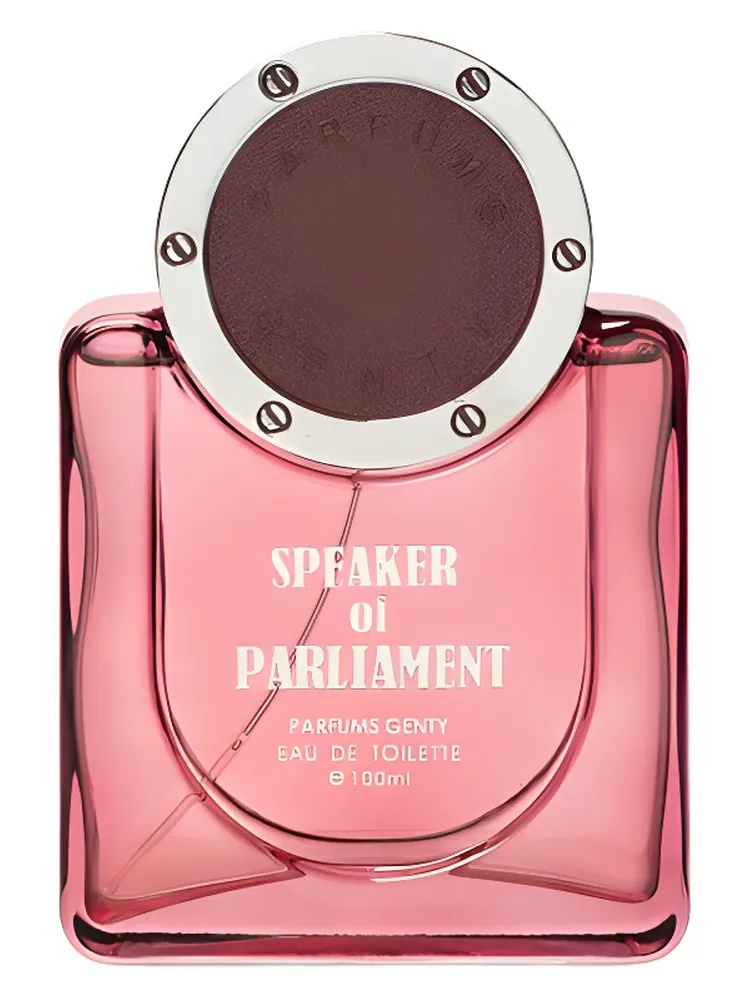 Speaker of Parliament thumbnail 4