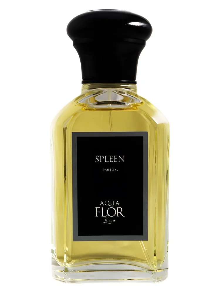 Spleen thumbnail 4