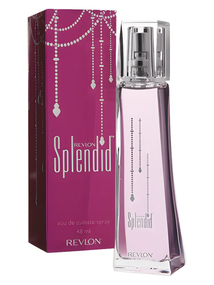 Splendid Life thumbnail 4