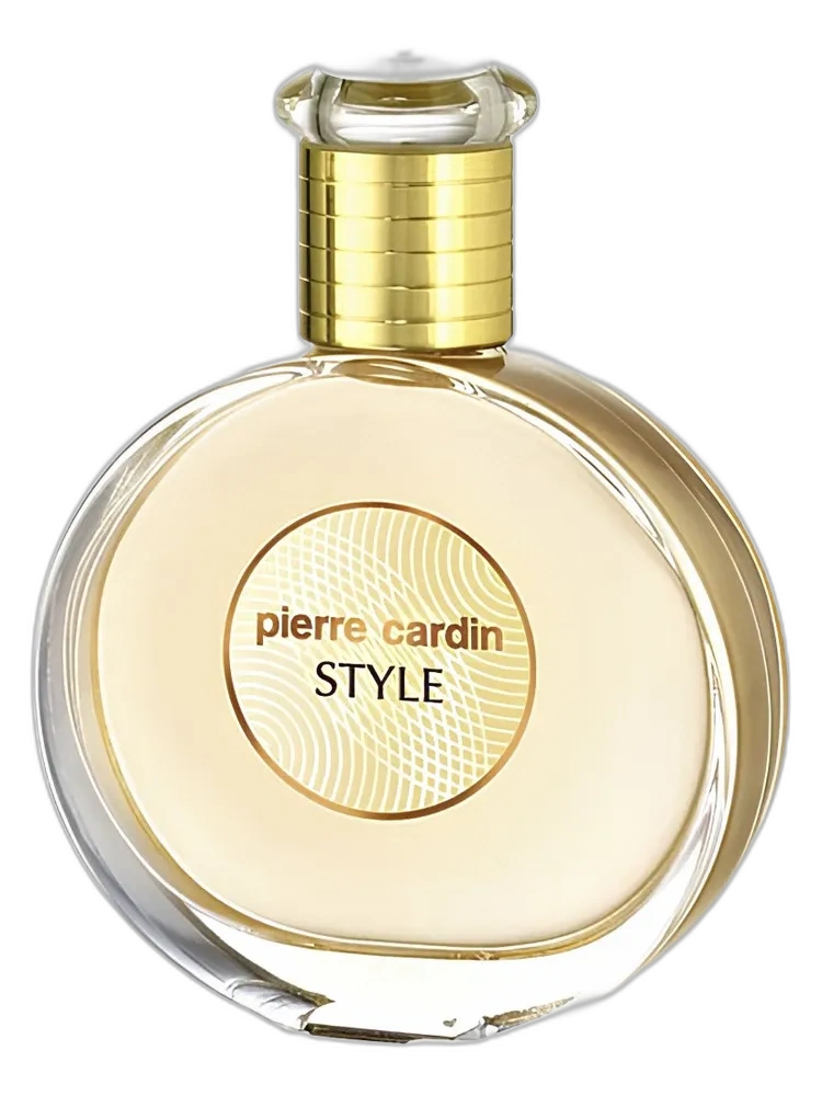 Style — Pierre Cardin