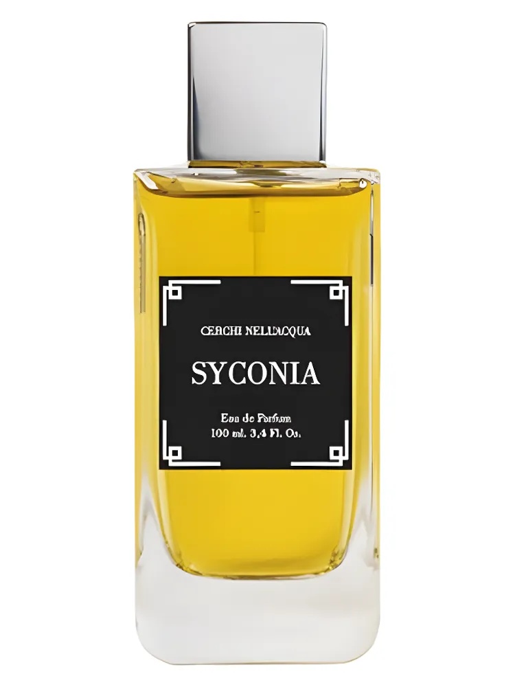 Syconia thumbnail 4