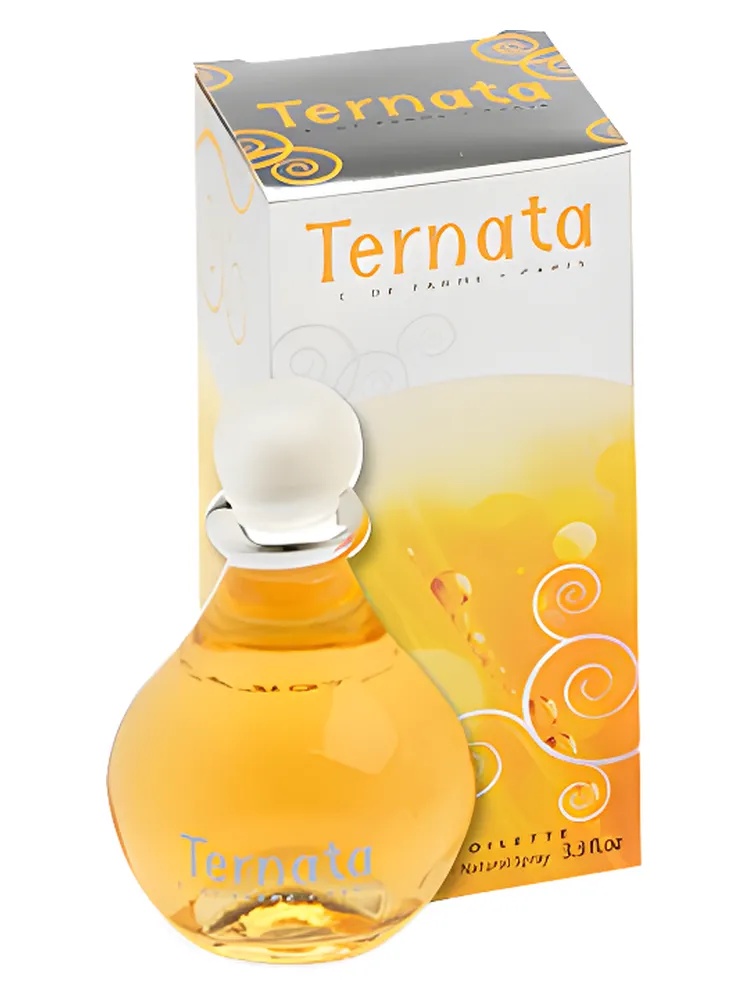 Ternata thumbnail 4