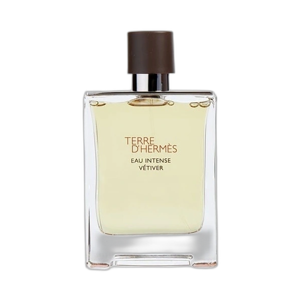 Terre d'Hermes Eau Intense Vetiver — Hermes
