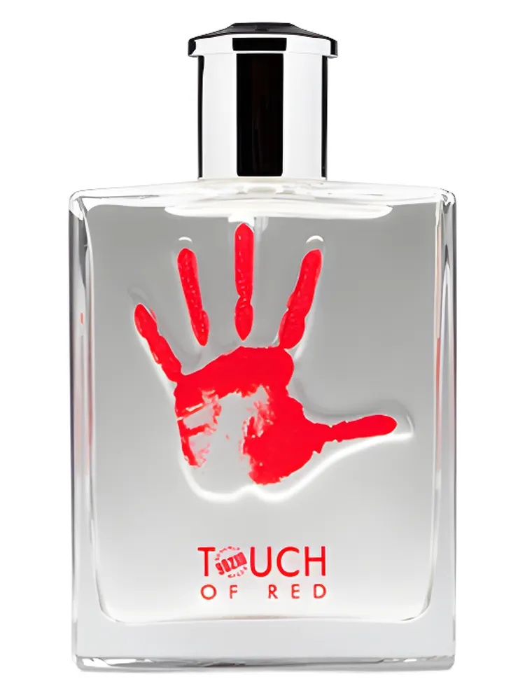 Miniatura 4 de Touch Of Cool Play
