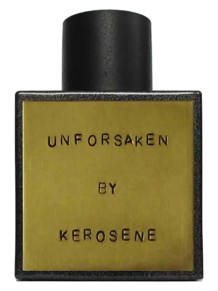 Miniatura 4 de Unforsaken