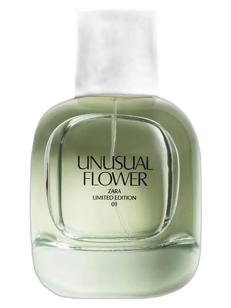 Unusual Flower — Zara