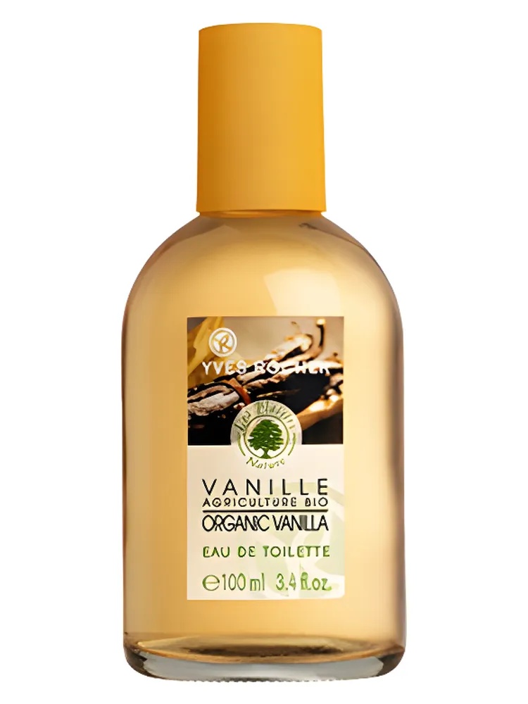 Vanille thumbnail 4