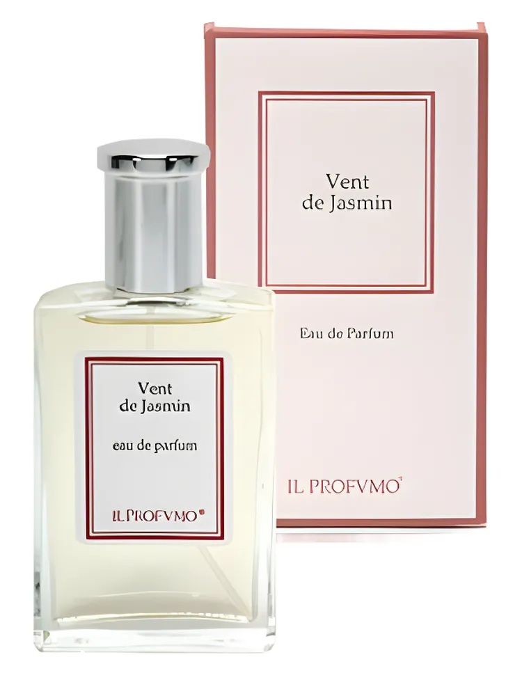 Vent de Jasmin thumbnail 4