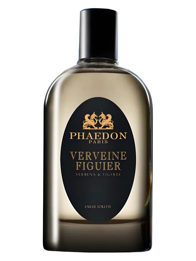 Verveine Figuier thumbnail 4