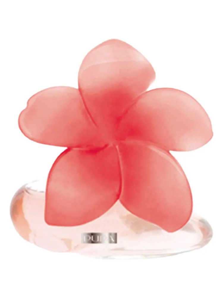 Very Flower Fiore di Tahiti thumbnail 4
