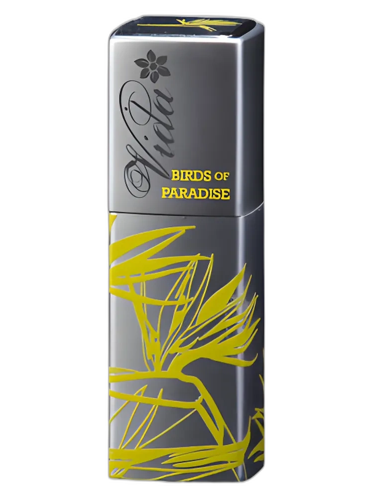 Vida Birds of Paradise — Tru Fragrances