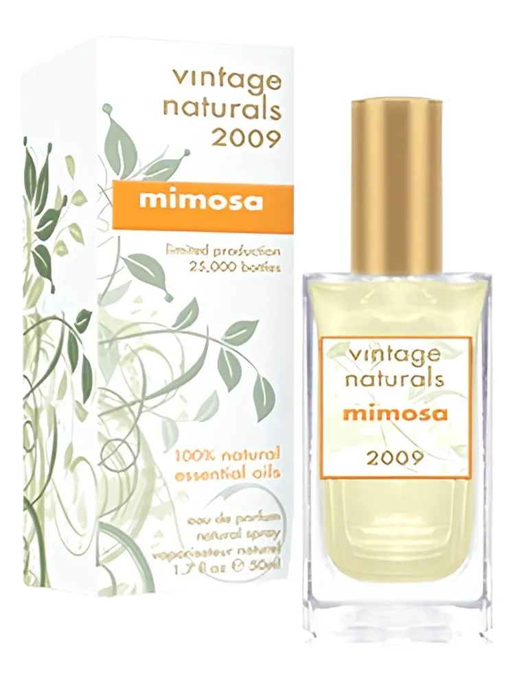 Mimosa thumbnail 4