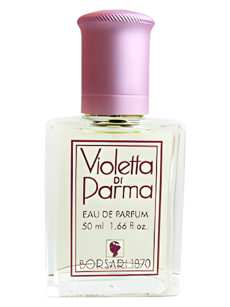 Violetta di Parma thumbnail 4