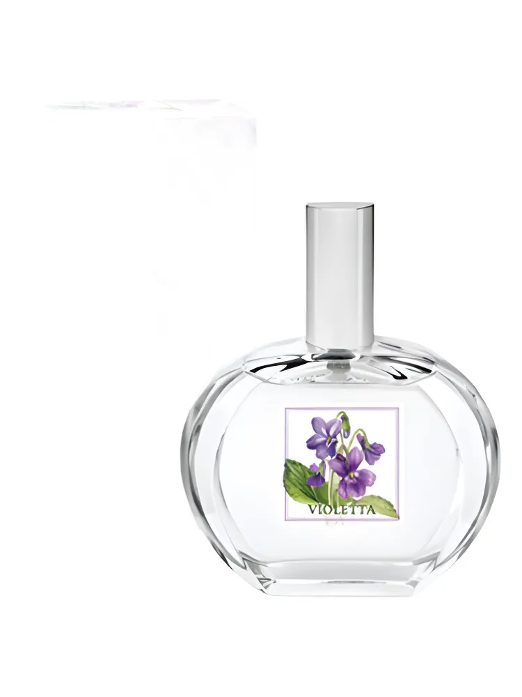 Miniatura 4 de Violetta