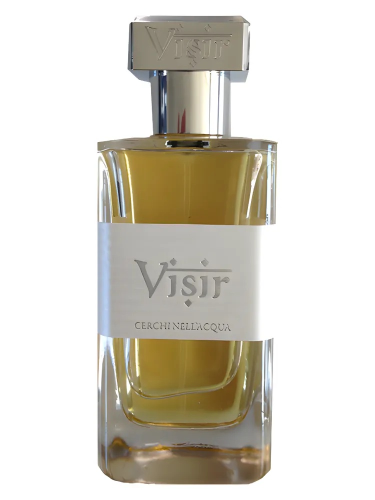 Miniatura 4 de Visir