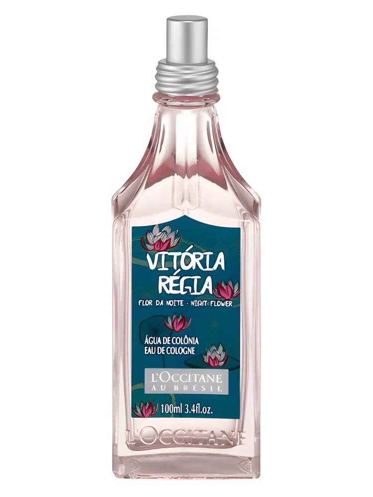 Vitória Régia Flor da Noite thumbnail 4