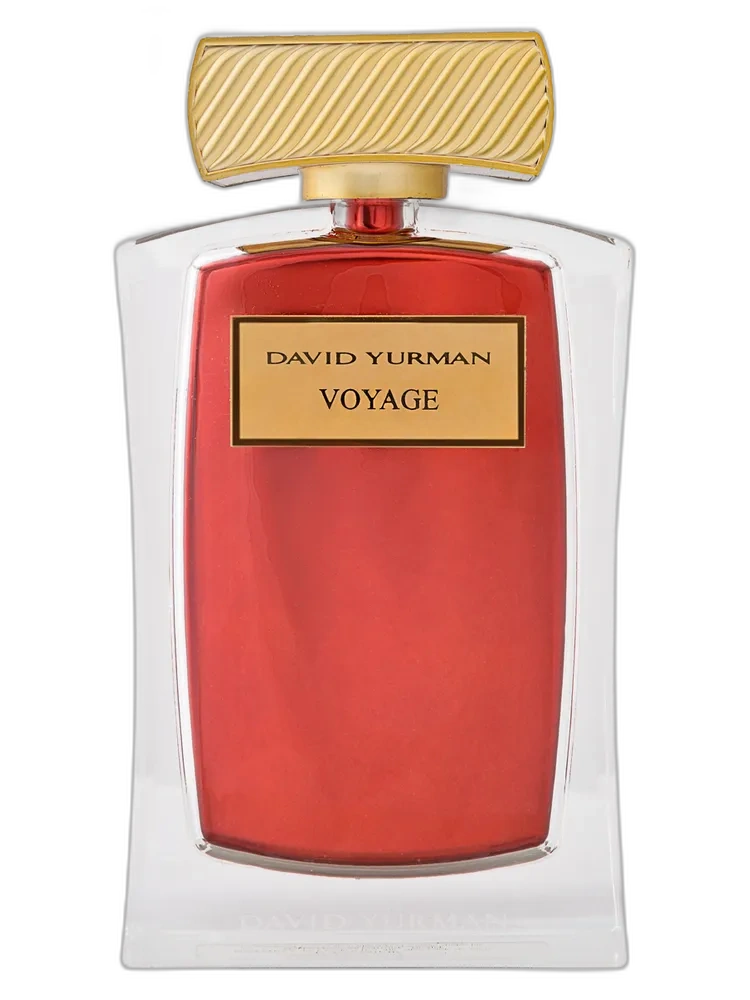 Voyage unisex — David Yurman
