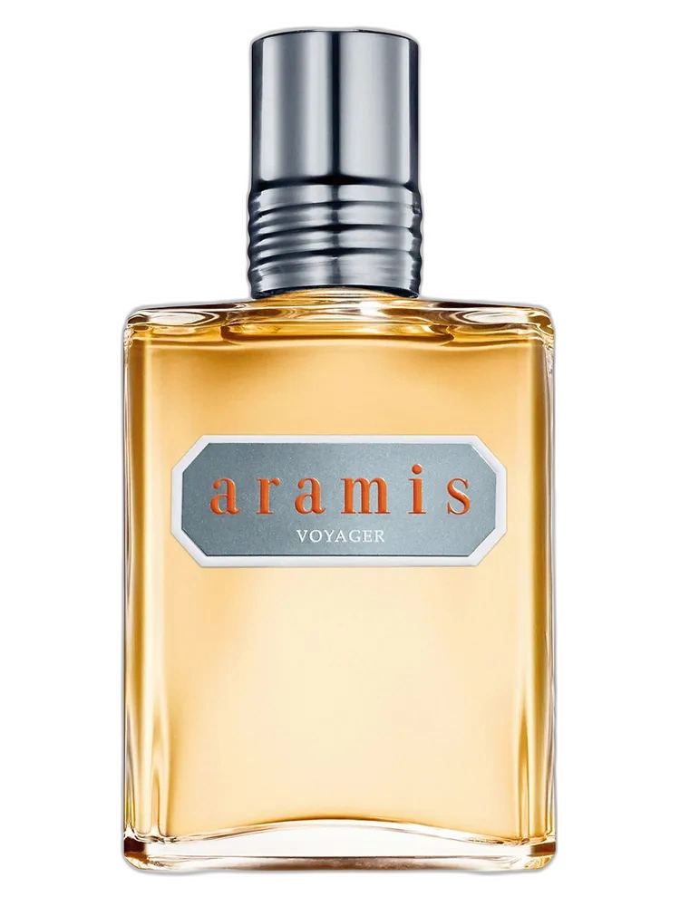Voyager — Aramis