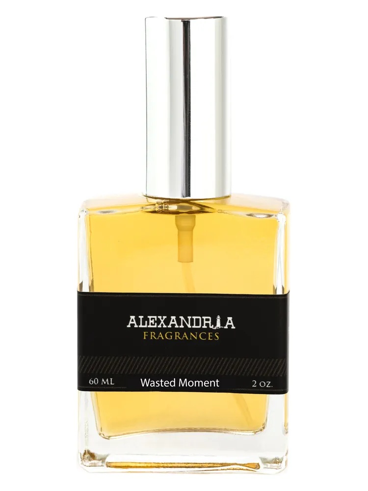 Miniatura 4 de Wasted Moment