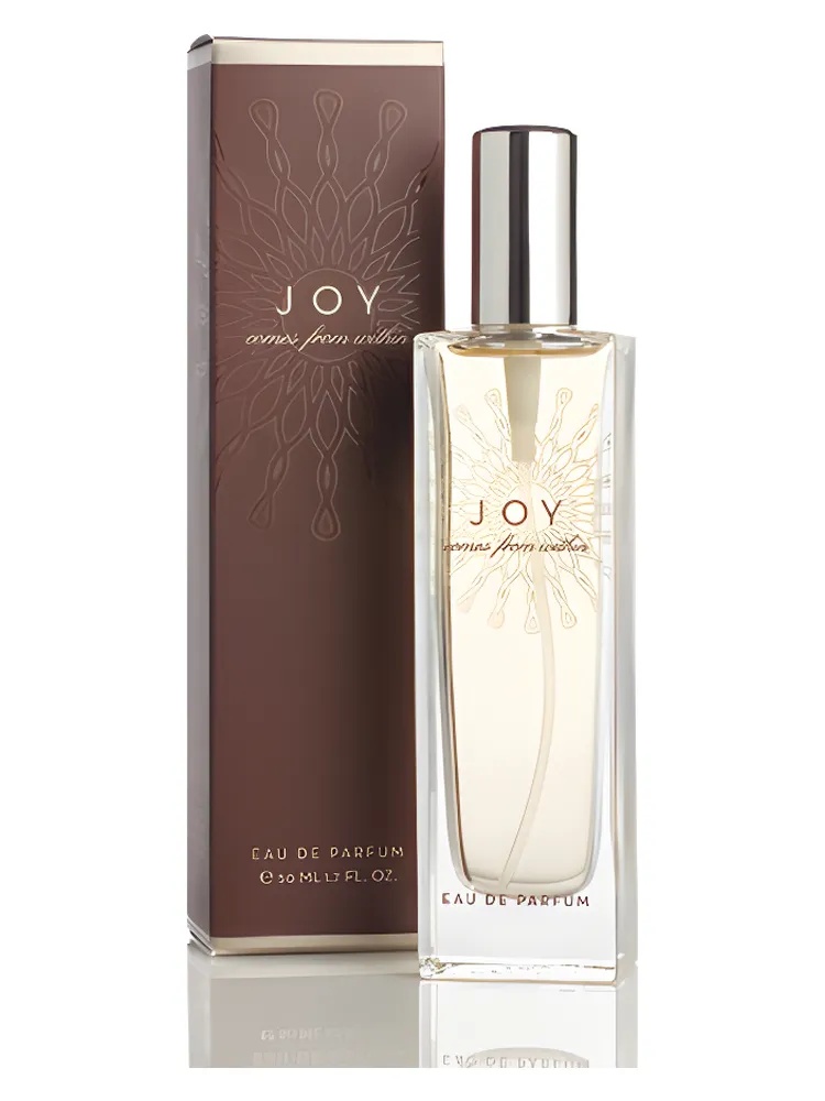 What Comes From Within: Joy thumbnail 4