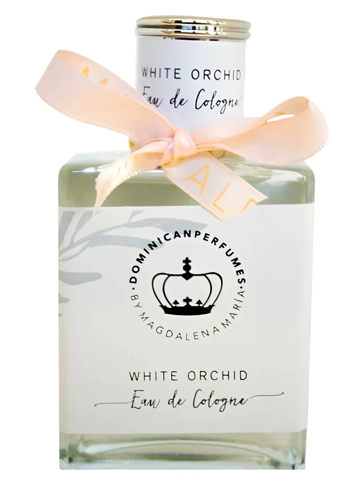 White Orchid thumbnail 4