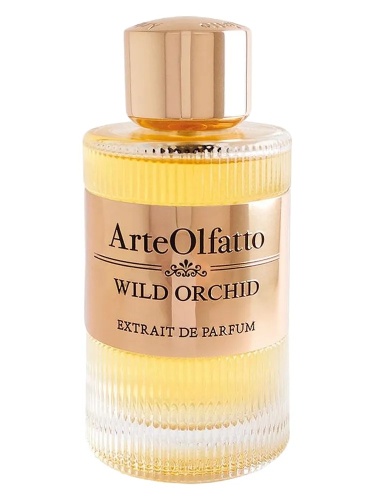 Wild Orchid