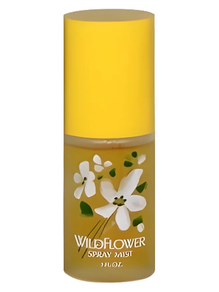 Miniatura 4 de Wildflower