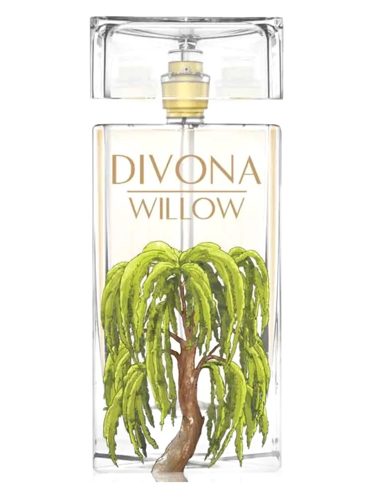 Willow thumbnail 4