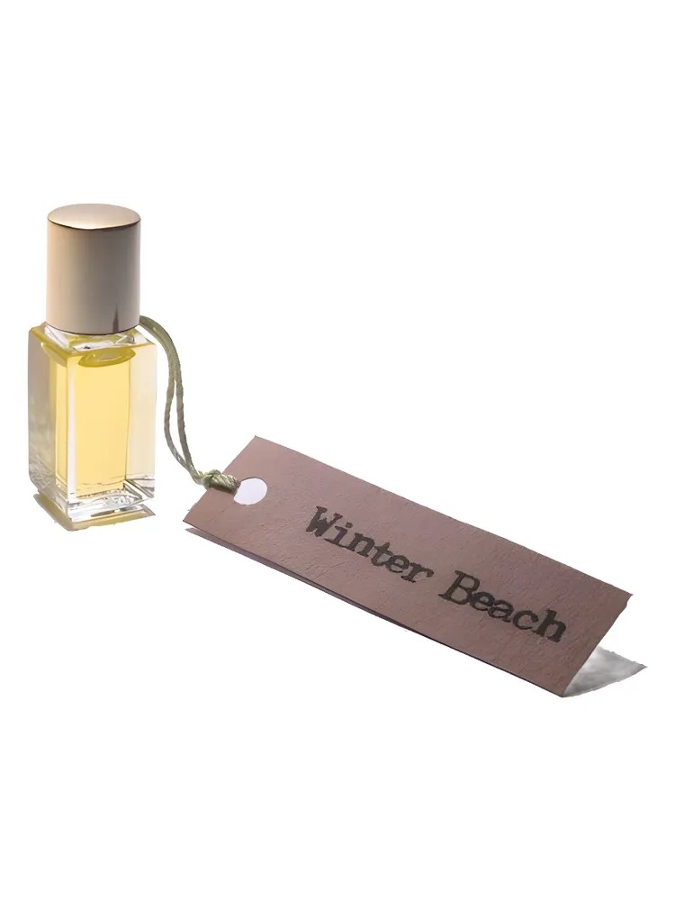 Winter Beach thumbnail 4