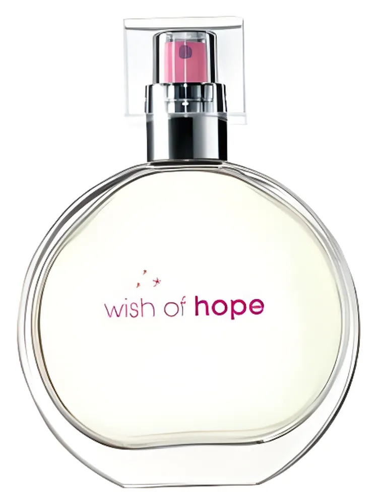 Wish of Hope thumbnail 4