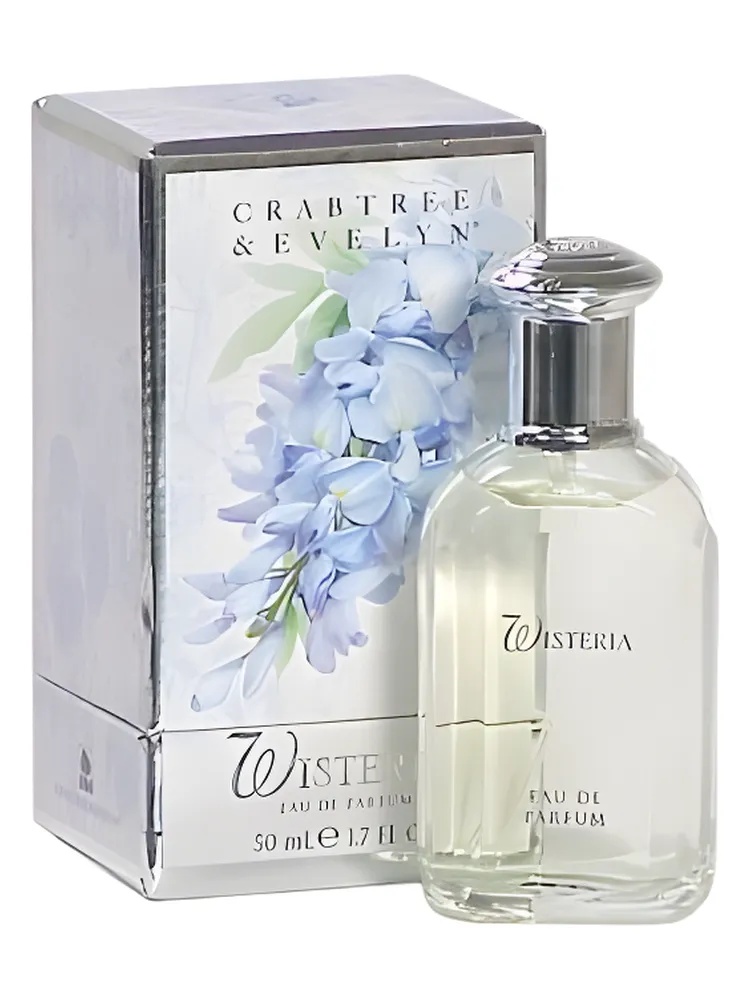 Miniatura 4 de Wisteria