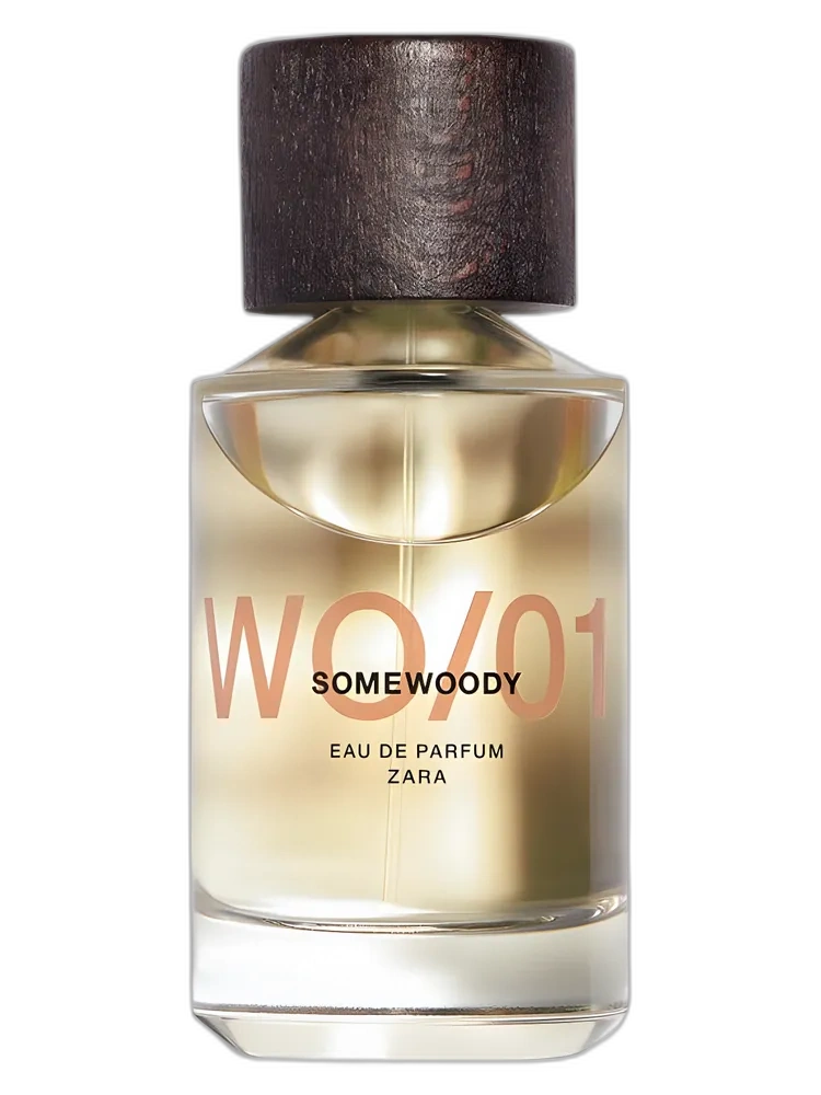 WO/01 Somewoody — Zara