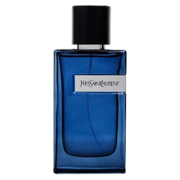 Y Intense — Yves Saint Laurent