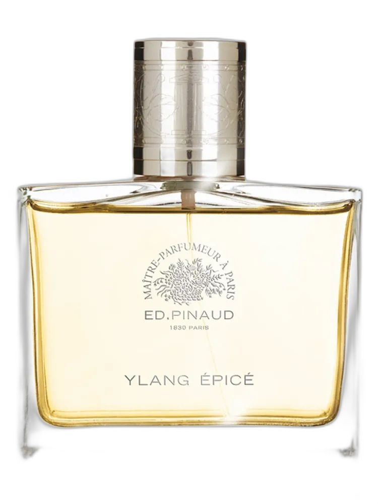 Ylang Epice — Ed Pinaud
