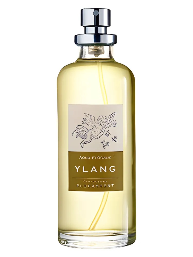 Ylang thumbnail 4
